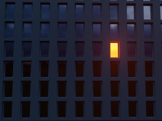 light in the dark, windows